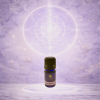 Chakra Balancing Anointing Holy Oils