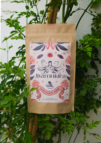 WHOLESALE Jivamuktea Chocolate Rose