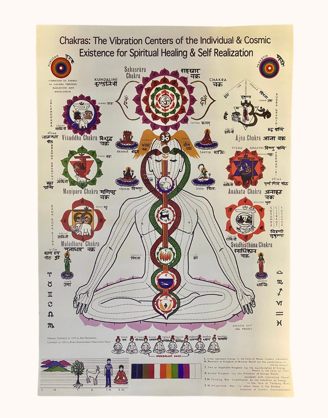 Chakra Poster by Shri Brahmananda Sarasvati