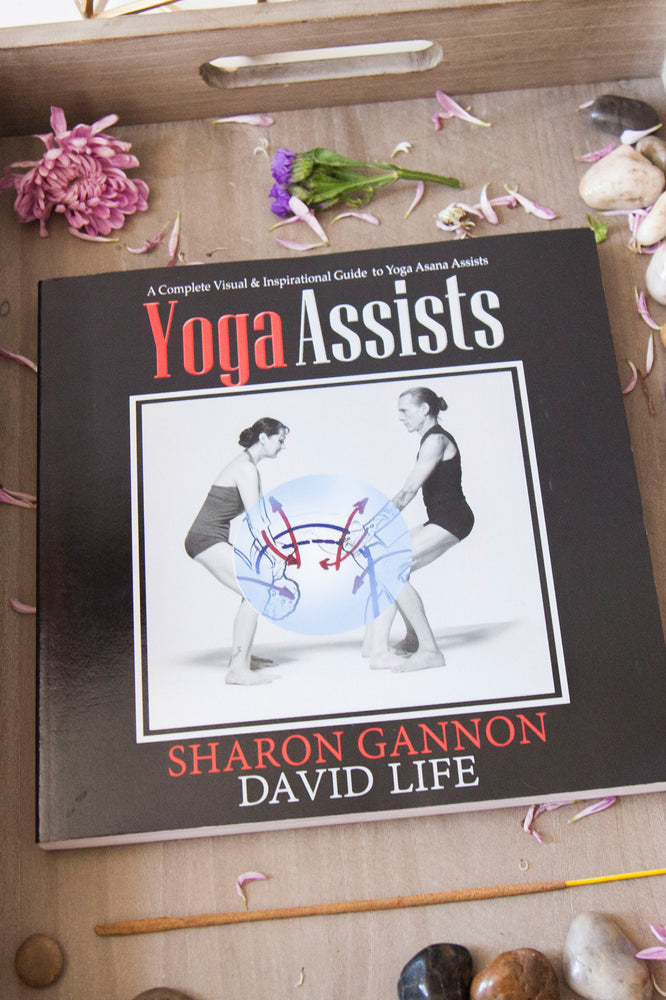 Yoga Assists: A Complete Visual and Inspirational Guide to Yoga Asana Assists